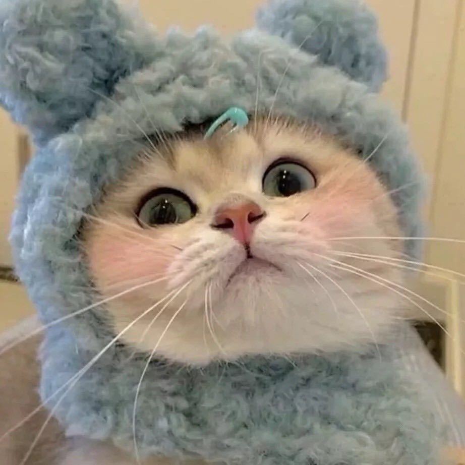睡不醒